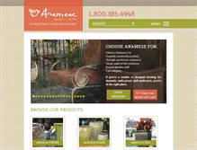 Tablet Screenshot of anamese.com